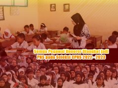 Inilah Sekilas Tentang Status Tenaga Honorer yang Bakal Dihapus Mulai 2023!