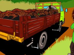 Jokowi Larang Ekspor CPO