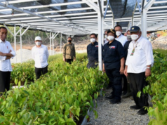 Jokowi Resmikan Persemaian Mentawir di Penajam Paser Utara sebagai Pusat Penghijauan IKN Presiden Joko Widodo Resmikan Persemaian Mentawir di Penajam Paser Utara sebagai Pusat Penghijauan IKN. Sumber Antara.