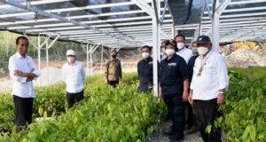 Jokowi Resmikan Persemaian Mentawir di Penajam Paser Utara sebagai Pusat Penghijauan IKN Presiden Joko Widodo Resmikan Persemaian Mentawir di Penajam Paser Utara sebagai Pusat Penghijauan IKN. Sumber Antara.