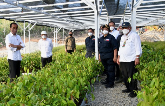 Presiden Joko Widodo Resmikan Persemaian Mentawir di Penajam Paser Utara sebagai Pusat Penghijauan IKN. Sumber Antara.